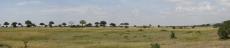 2007-04-13 - Kenya - Massai Mara Panorama